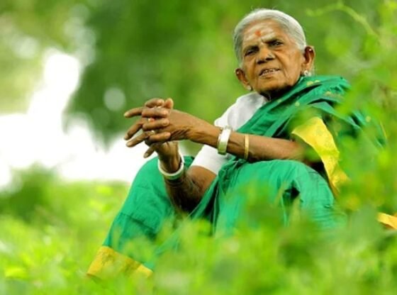 प्रसिद्ध पर्यावरणविद् सालूमरदा थिमक्का, पद्म श्री पुरस्कार से सम्मानित और बरगद के पेड़ के योद्धा, का लंबी बीमारी के बाद बेंगलुरु में 114 वर्ष की आयु में निधन हो गया - कर्नाटक समाचार