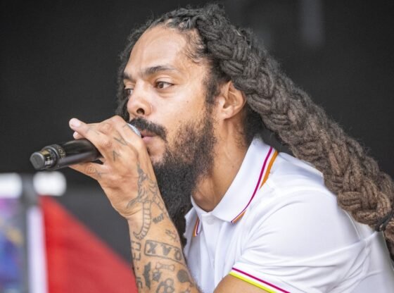 बॉब वायलन के लंदन प्रदर्शन पर पुलिस ने आगे कोई कार्रवाई नहीं की | यूके समाचार