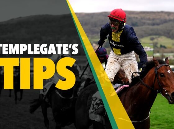 घुड़दौड़ युक्तियाँ: 'वह तरोताजा रहता है और उसकी काठी में एक शीर्ष जॉकी है'