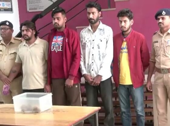 संरक्षित इंडियन स्टार कछुआ बेचने वाले इंस्टाग्राम रैकेट का गुजरात में भंडाफोड़ हुआ