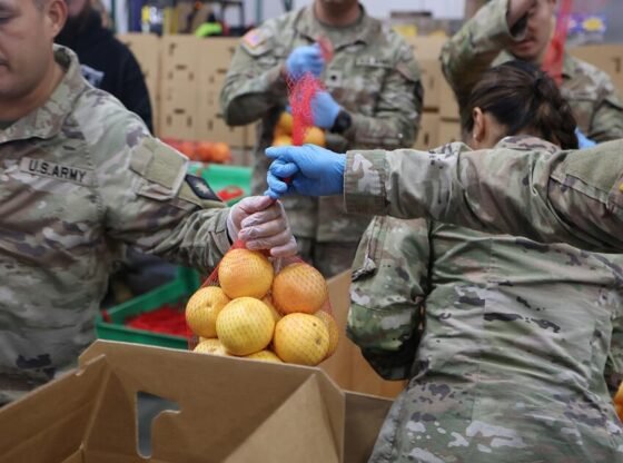 न्यायाधीशों ने यूएसडीए को स्नैप फंडिंग फिर से शुरू करने का आदेश दिया, लेकिन भूखे परिवारों को तत्काल राहत नहीं मिलेगी