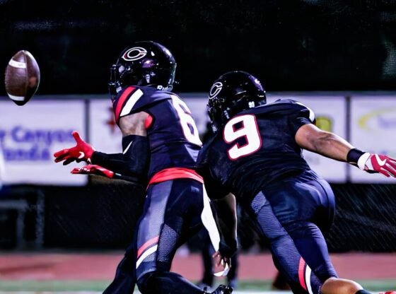 बहुमुखी जेडन वॉक-ग्रीन सेंटेनियल के लिए एक मल्टीस्पोर्ट स्टैंडआउट