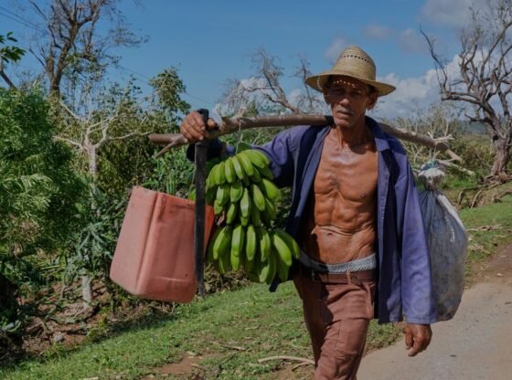 तूफान मेलिसा ने जमैका के किसानों और मछुआरों को एक और भारी झटका दिया है